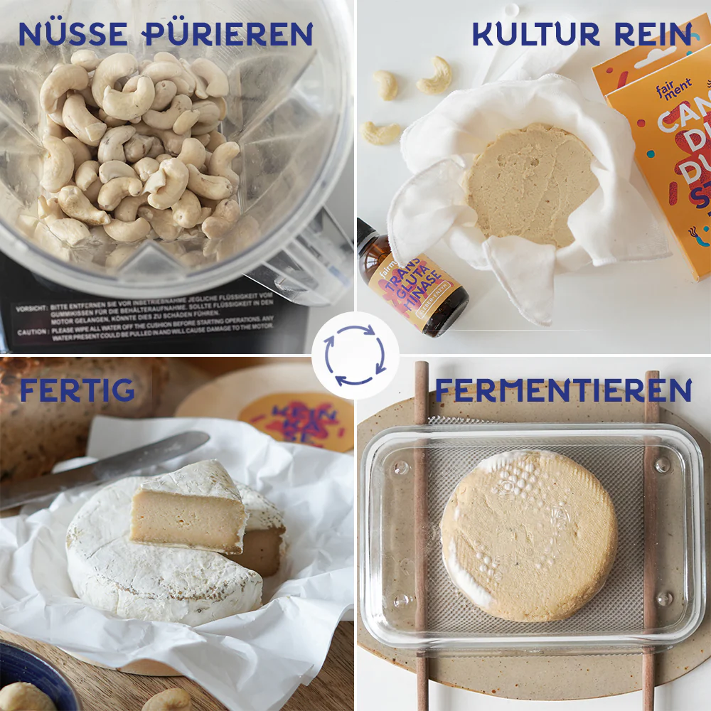 Veganen Käse selber machen