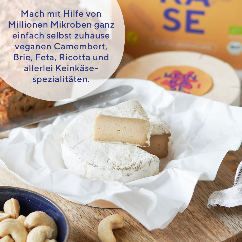 Veganen Käse selber machen
