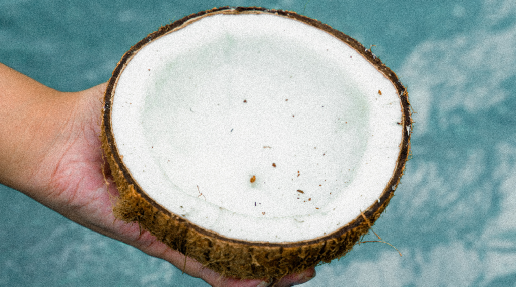 Coconut Cult für die Verdauung