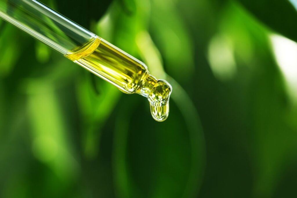 Abnehmen mit Pflanzenextrakten